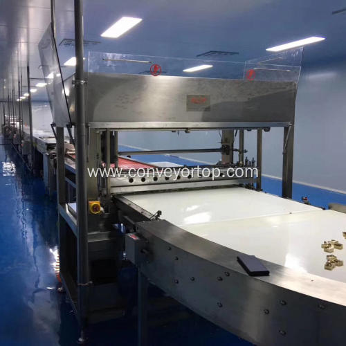 Customized White Food Grade Plastic Belt Conveyor System